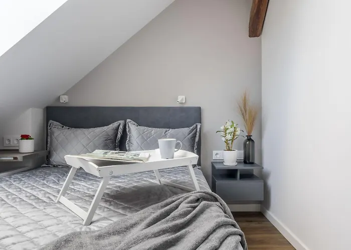 Apartamento Saints Vilna